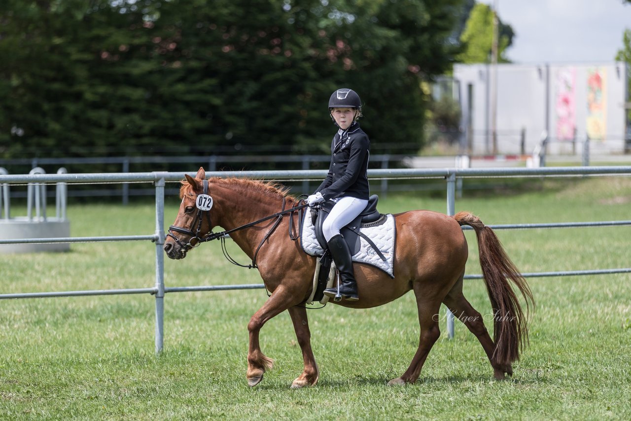 Bild 8 - Pony Akademie Turnier